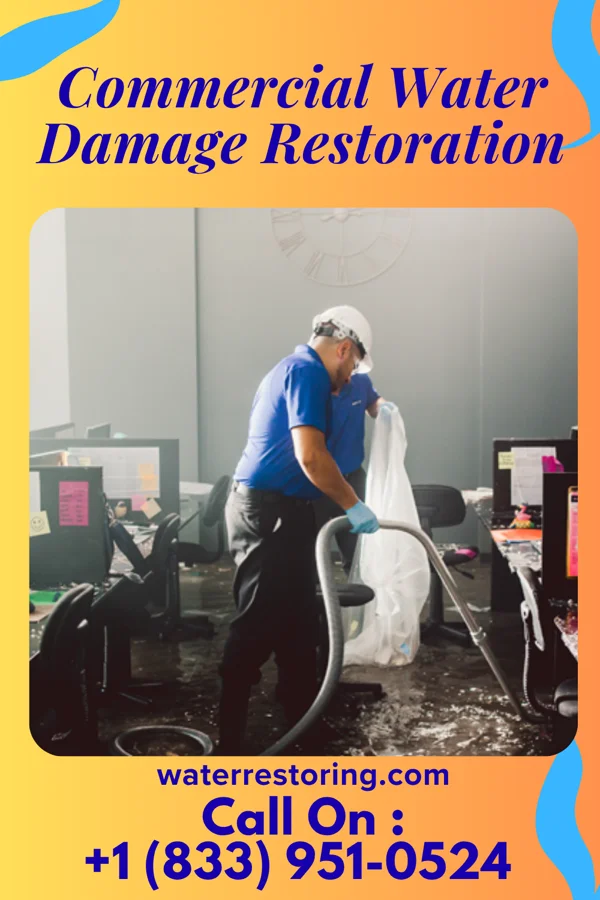 Commercial Water Damage Restoration in Forsyth, MT