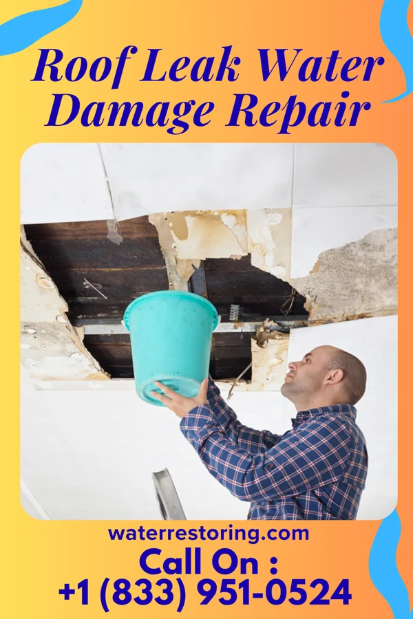 Roof Leak Water Damage Repair in Forsyth, MT